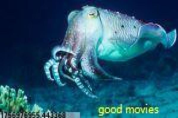 《类似哈尔的移动城堡》奇幻动画推荐