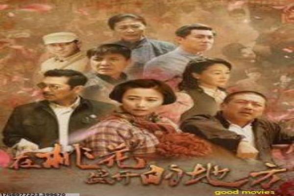 《我们的少年时代》剧情完整梳理与青春励志故事深度解读