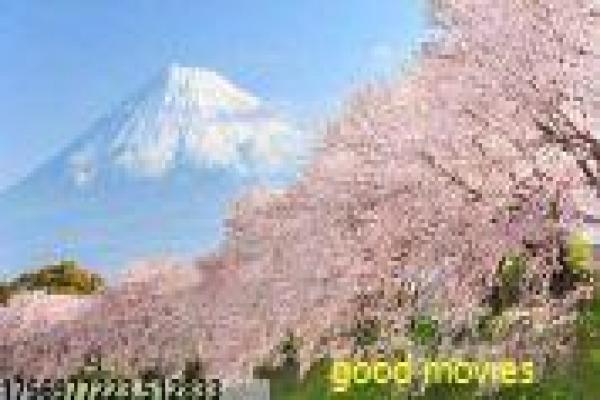 《步步惊心》幕后花絮揭秘|刘诗诗吴奇隆合作细节讲解