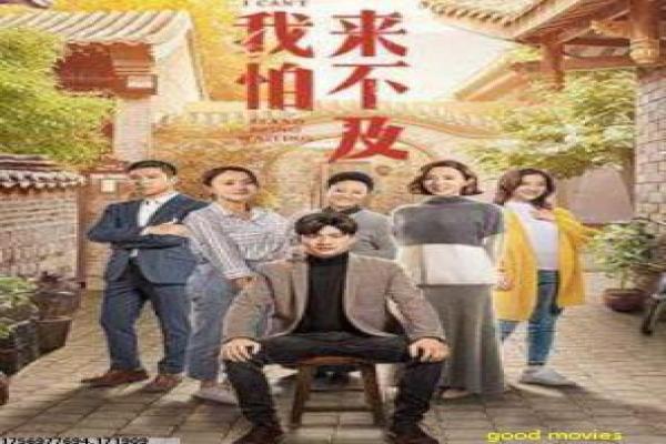 《头号玩家》电影剧情解析,虚拟世界中的冒险与友情故事