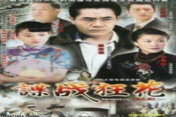 星际穿越故事情节解析,时空穿越主题深度还原探讨