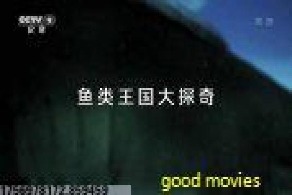 《善良的小姨子》影片讲解|社会话题影片与幕后揭秘