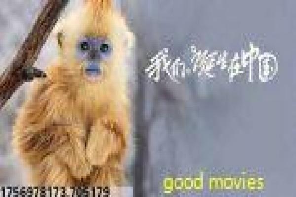 吸血鬼日记第一季吸血设定与剧情讲解