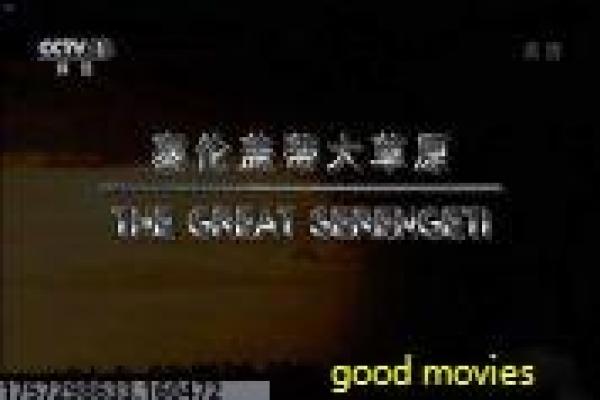 技术流解读|影院3D眼镜能否在手机端使用?