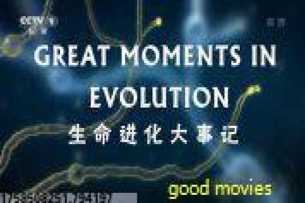 《赌神3之少年赌神》豪赌世界的青春风暴,赌神3之少年赌神全景解析枭雄崛起