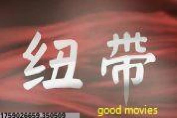 《幸福来敲门》幸福追寻的励志人生,解析逆