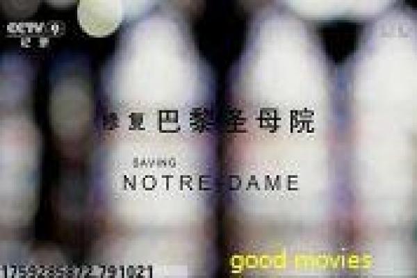 《反贪风暴4》反贪风暴4的反腐行动,剖析