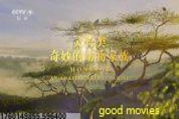 12勇士在线观看-12勇士在线阿富汗,在线观看电影影片简介特种队突袭的热血军事纪实